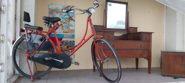 Bicicletta da donna color rosso